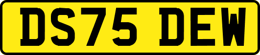 DS75DEW