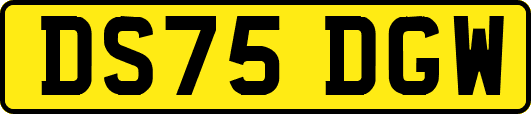 DS75DGW