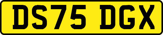 DS75DGX