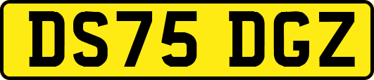 DS75DGZ