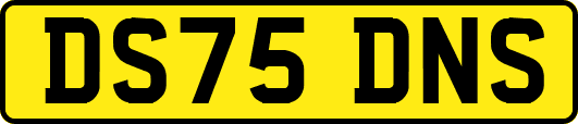 DS75DNS
