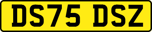 DS75DSZ