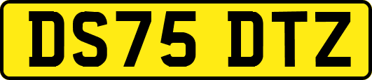 DS75DTZ