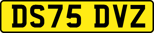 DS75DVZ