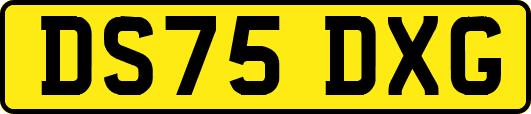 DS75DXG