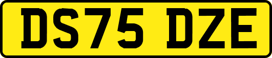 DS75DZE