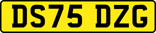 DS75DZG