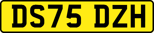 DS75DZH