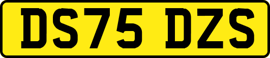 DS75DZS