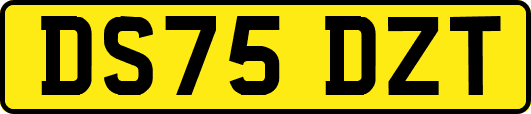 DS75DZT