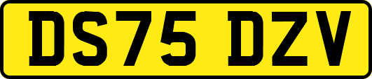 DS75DZV