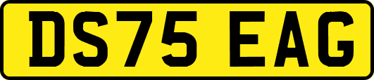 DS75EAG