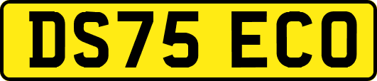 DS75ECO
