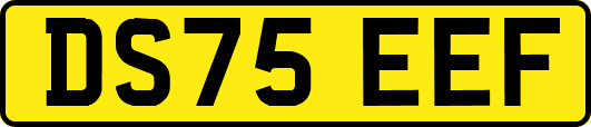 DS75EEF