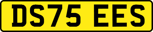 DS75EES
