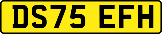 DS75EFH