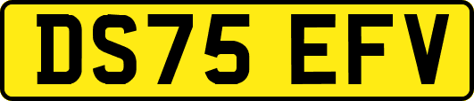 DS75EFV