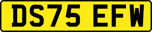 DS75EFW