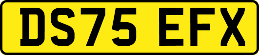 DS75EFX