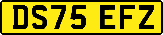 DS75EFZ