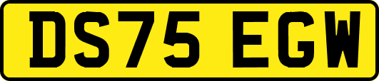 DS75EGW
