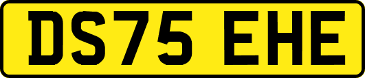 DS75EHE