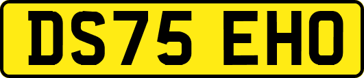 DS75EHO