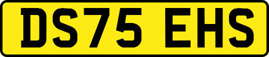 DS75EHS