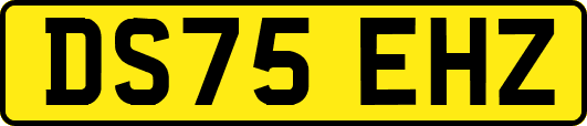DS75EHZ