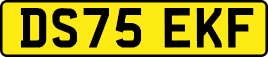 DS75EKF
