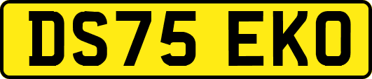 DS75EKO