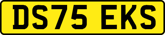 DS75EKS