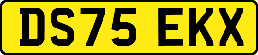 DS75EKX