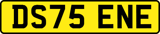 DS75ENE