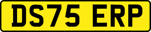 DS75ERP