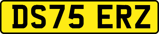 DS75ERZ