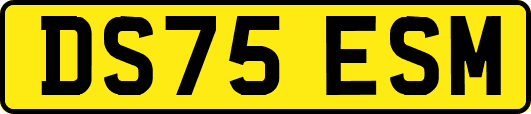 DS75ESM