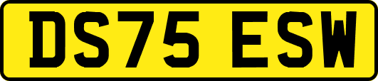 DS75ESW