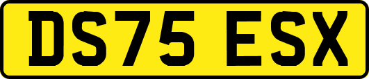 DS75ESX