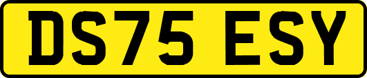 DS75ESY