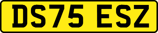 DS75ESZ