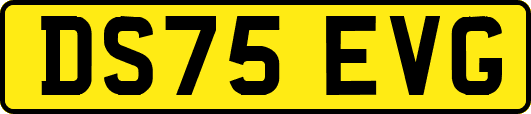DS75EVG