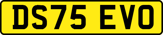 DS75EVO