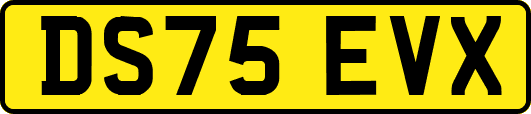 DS75EVX