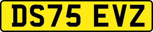 DS75EVZ