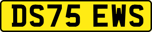 DS75EWS