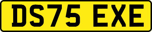 DS75EXE