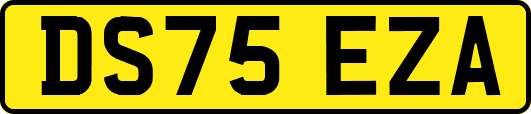 DS75EZA