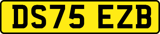 DS75EZB