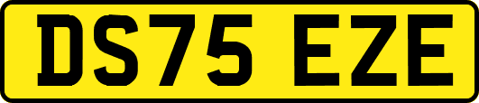 DS75EZE